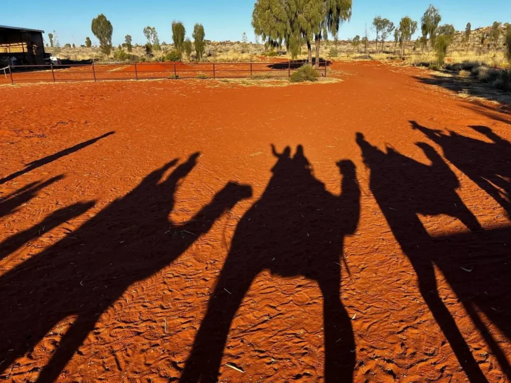 Camel Tours Uluru