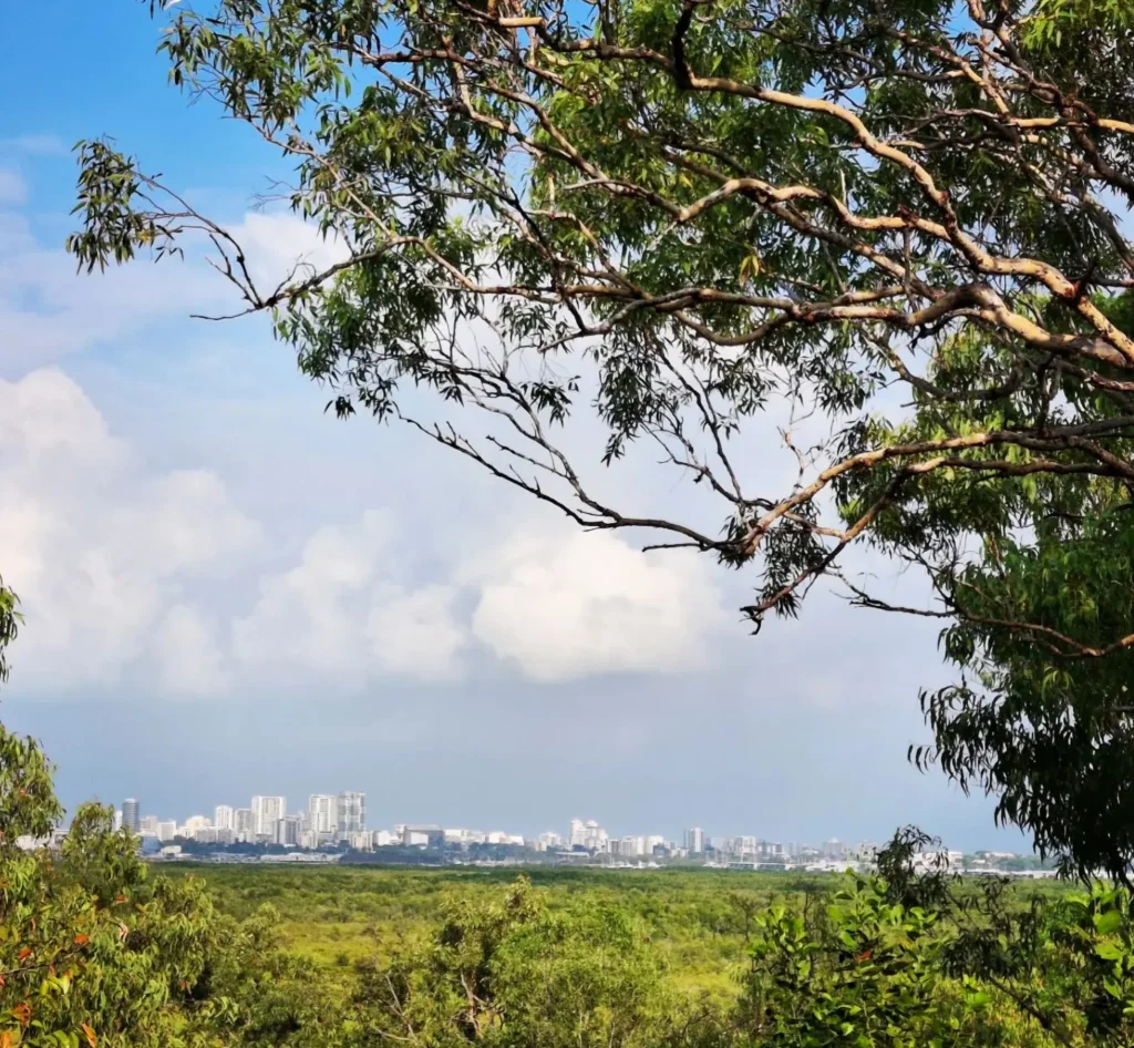 The Charm of Darwin City