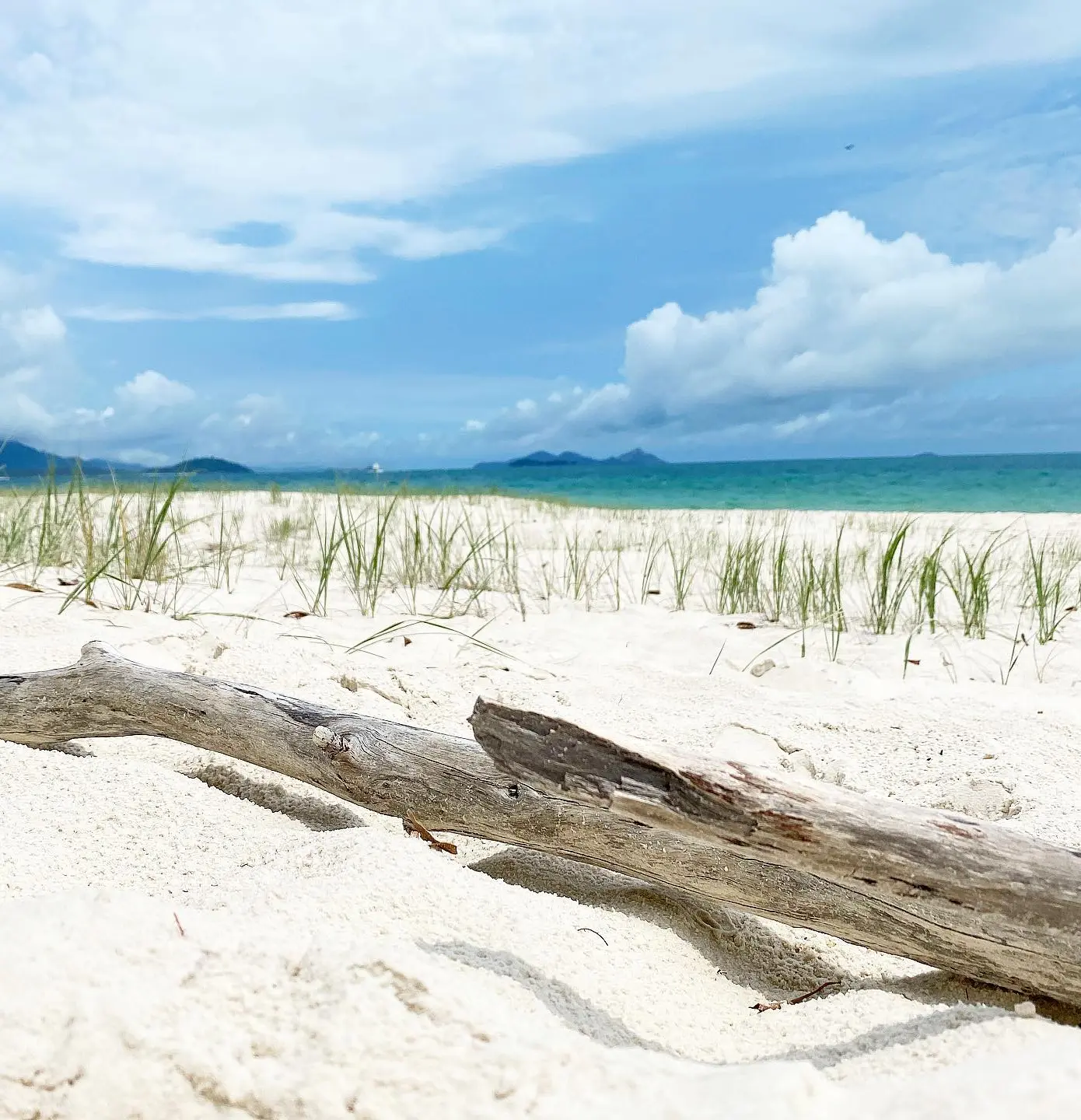 ngaro track whitsundays 2026