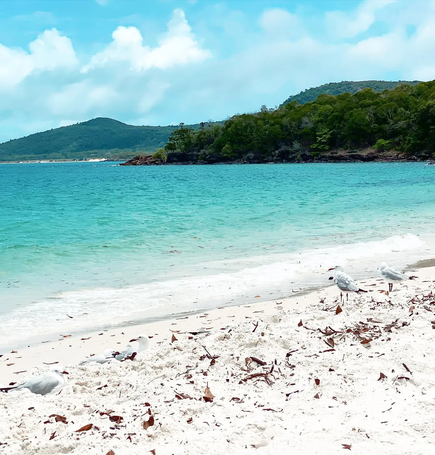 ngaro track whitsundays 2026