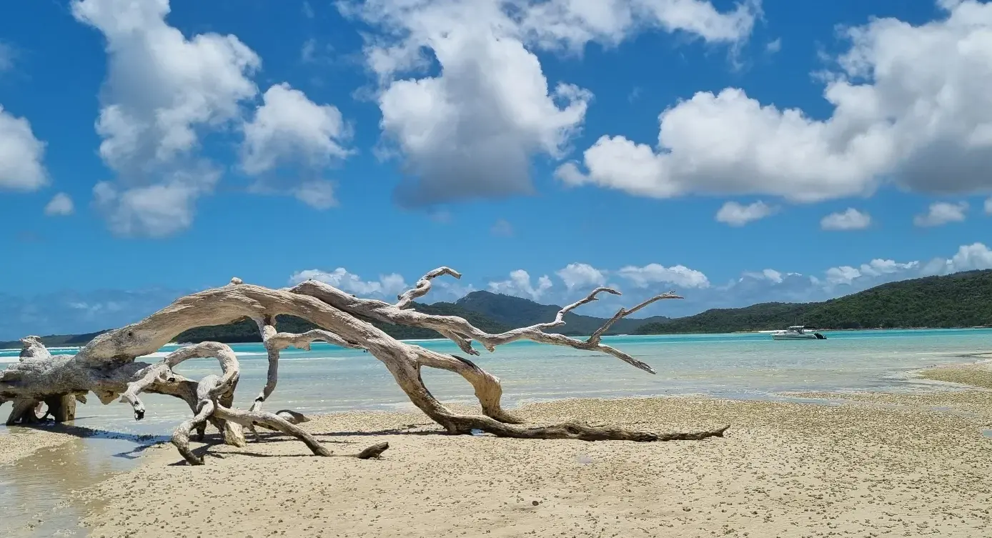 ngaro track whitsundays 2026
